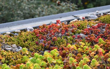 the cost of Clydebank green roof installation