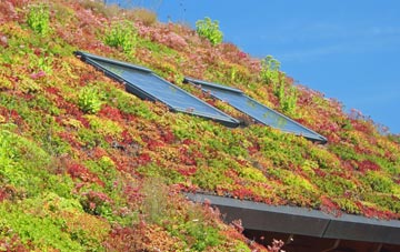 Clydebank living roof systems