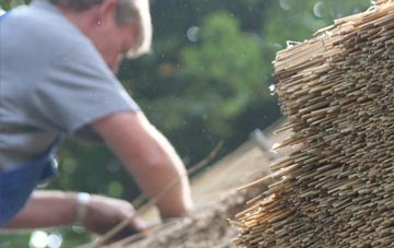 professional Clydebank thatchers